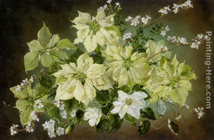 Cecil Kennedy Still Life with Poinsettias and Fruit Blossom